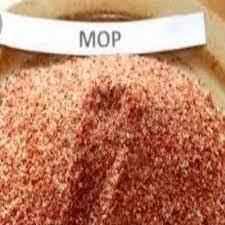 RED POTASSIUM CHLORIDE(MOP) Images